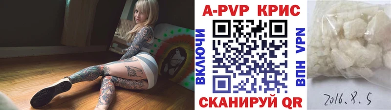 A PVP СК КРИС Пятигорск