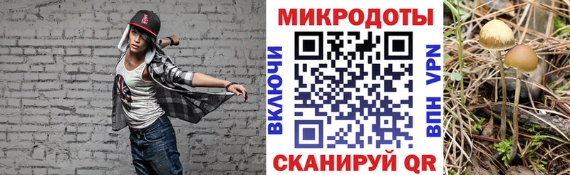 Галлюциногенные грибы MAGIC MUSHROOMS  наркота  Пятигорск 