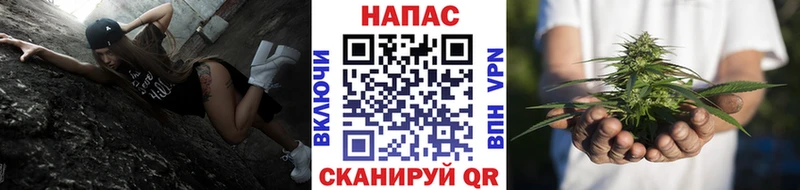 Конопля OG Kush  Пятигорск 
